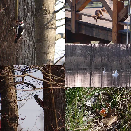 Nasze Zacisze Osiedle Kaszubska Ostoja 度假居