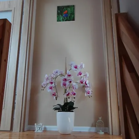 Nasze Zacisze Osiedle Kaszubska Ostoja *