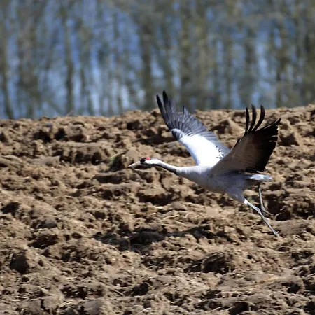 Nasze Zacisze Osiedle Kaszubska Ostoja *
