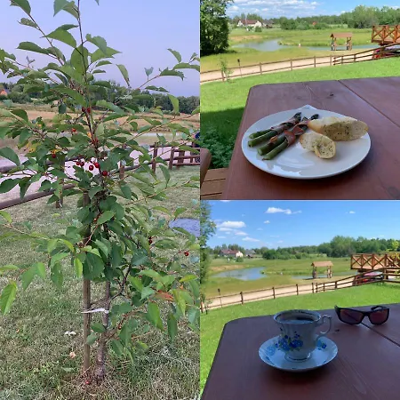 度假居 Nasze Zacisze Osiedle Kaszubska Ostoja *